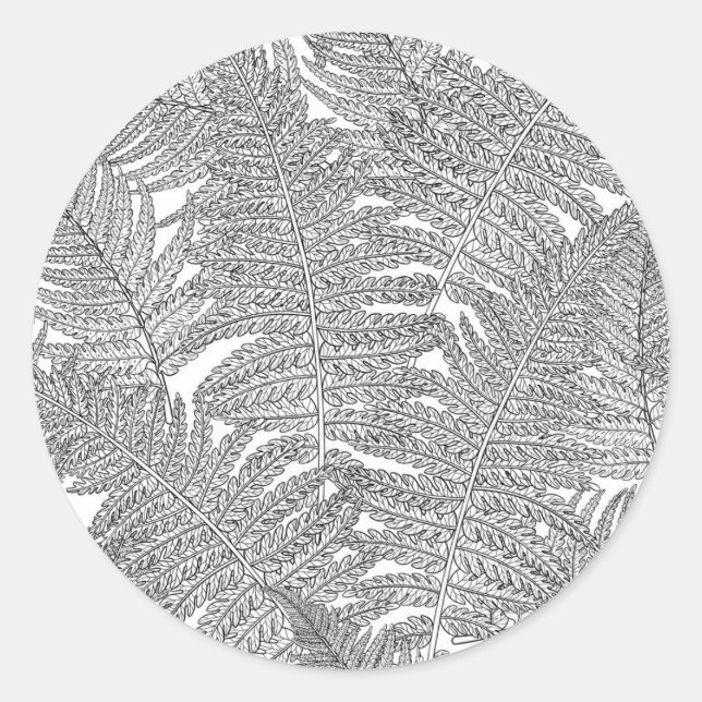 Pegatina Redonda Fern en blanco y negro (Anverso)