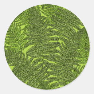 Pegatina Redonda Fern en verde