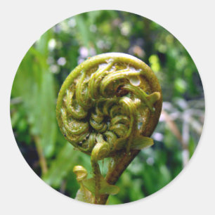 Pegatina Redonda Fern Frond