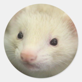 Pegatina Redonda Ferret face
