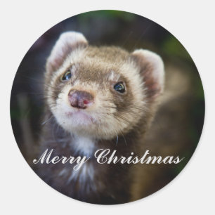 Pegatina Redonda Ferret Merry navidades