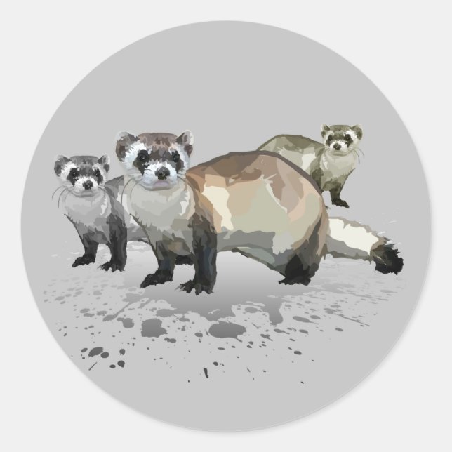 Pegatina Redonda Ferrets (Anverso)