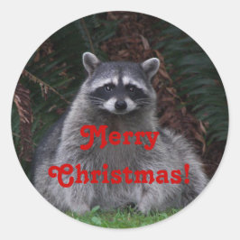 Pegatina Redonda Festividad de Raccoon en el bosque navideño