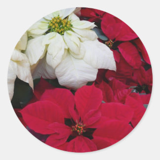 Pegatina Redonda Festividades de los Navidades de la posología blan