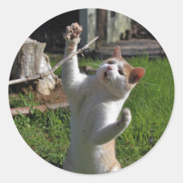 Pegatina Redonda Fierce Predator