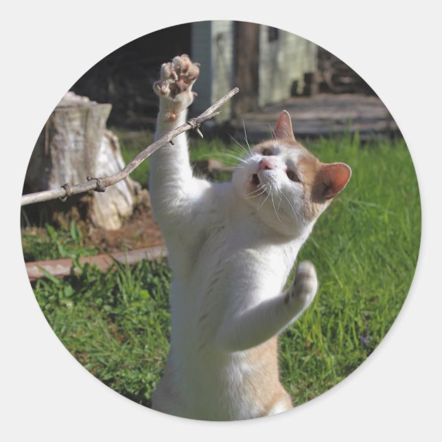 Pegatina Redonda Fierce Predator (Anverso)