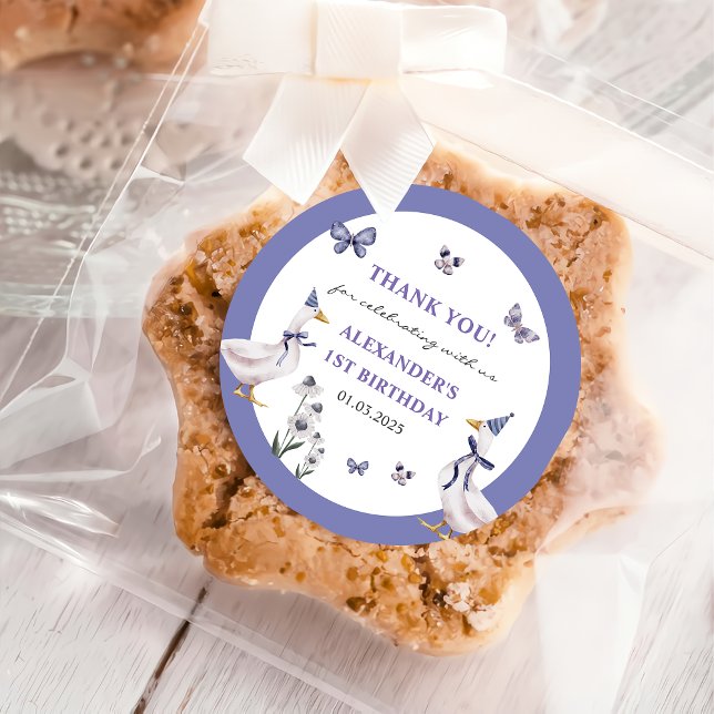 Pegatina Redonda Fiesta de cumpleaños de Silly Goose (Subido por el creador)