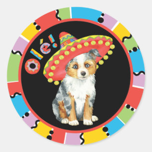 Pegatina Redonda Fiesta Miniatura Pastor Americano