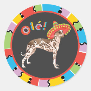 Pegatina Redonda Fiesta Orquídea Inca Peruana