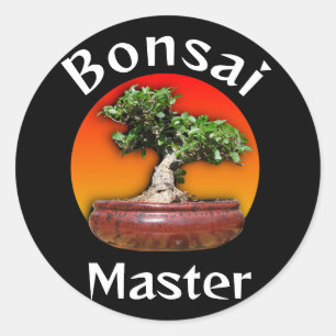 Pegatina Redonda Fig Wild Bonsai Master Sunset