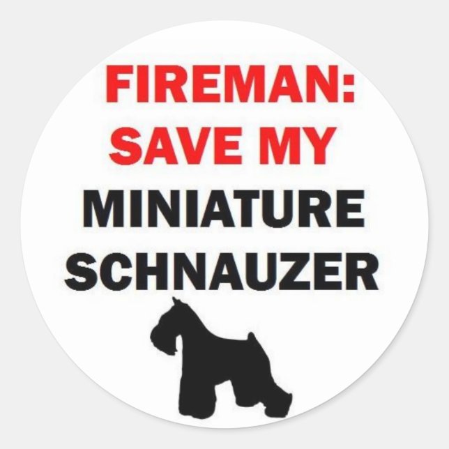 Pegatina Redonda Fireman salva mi Schnauzer en miniatura (Anverso)