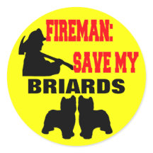 Fireman Save My Briards
