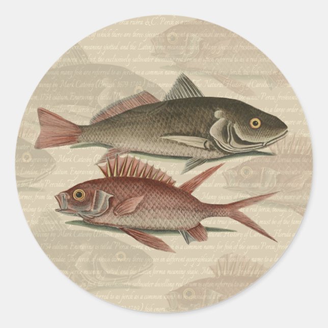 Pegatina Redonda Fish Red Perch Fisher Art (Anverso)