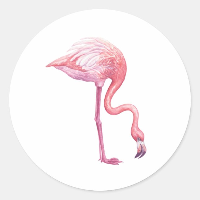 Pegatina Redonda Flamingo (Anverso)