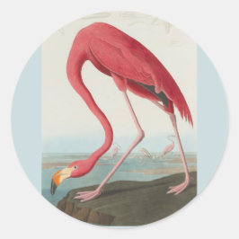 Pegatina Redonda Flamingo americano de John James Audubon 1838