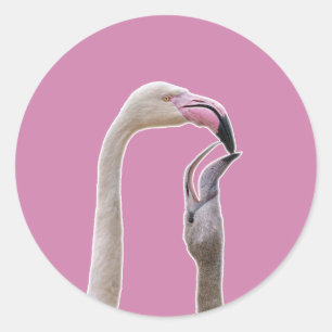 Pegatina Redonda Flamingo Madre Y Bebé