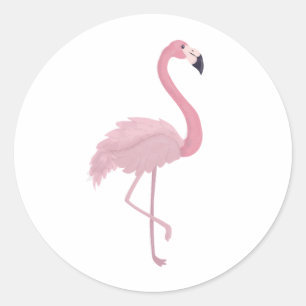 Pegatina Redonda Flamingo rosa