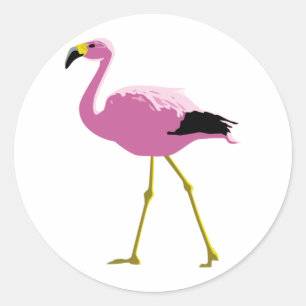 Pegatina Redonda Flamingo rosa
