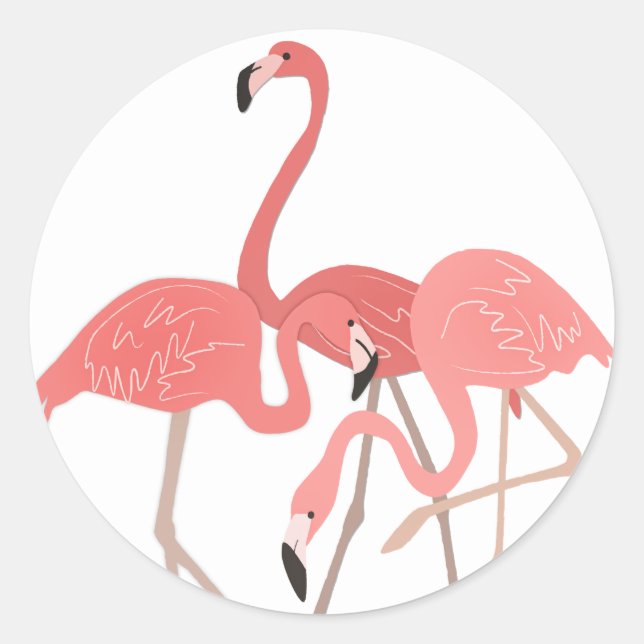 Pegatina Redonda Flamingo Trio (Anverso)