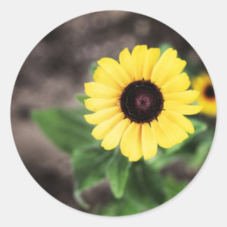Pegatina Redonda Flor 1