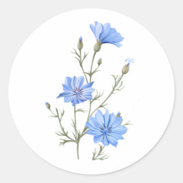 Pegatina Redonda Flor achicoria salvaje acuarela