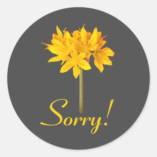 Pegatina Redonda Flor amarilla lo siento (Anverso)