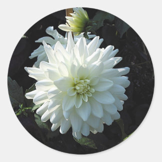 Pegatina Redonda Flor blanca