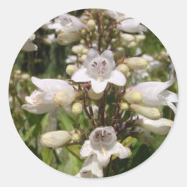 Pegatina Redonda Flor Blanca