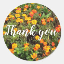 flor botánica verde naranja gracias