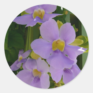 Pegatina Redonda Flor cielo Vino Tropical Morado Floral
