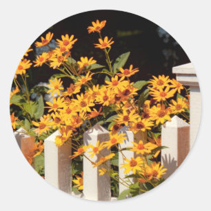 Pegatina Redonda Flor - Coreopsis - El calor del verano