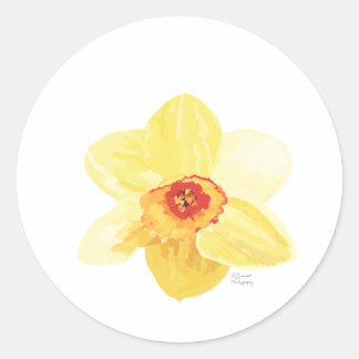 Pegatina Redonda flor Daffodil Żonkila