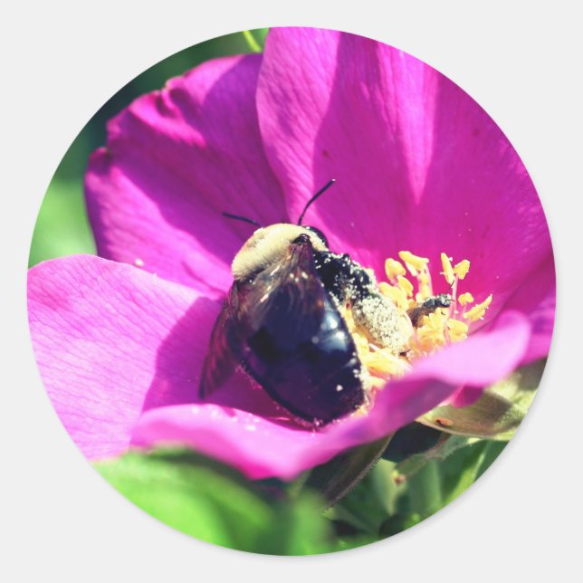Pegatina Redonda Flor de abejas de doble derecho (Anverso)