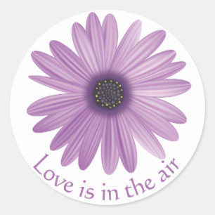 Pegatina Redonda Flor de Amor Púrpura Lavanda Margarita