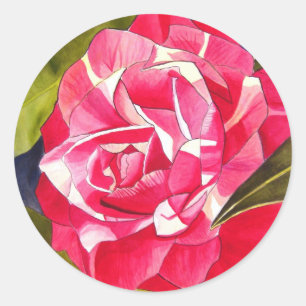 Pegatina Redonda Flor de arte de la acuarela del Camellia rosa bril
