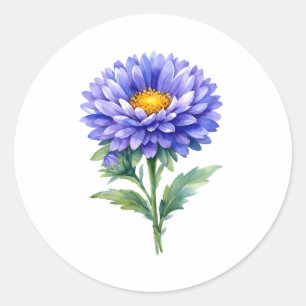 Pegatina Redonda Flor de aster púrpura en flor acuarela