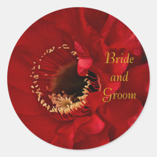 Pegatina Redonda Flor de cactus de Firelight Bride and Groom