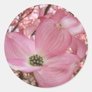 Pegatina Redonda FLOR DE CORNEJO Rosa 1 Tarjetas Arte Regalos Tazas