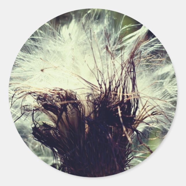 Pegatina Redonda Flor de flujo de grifo (Anverso)