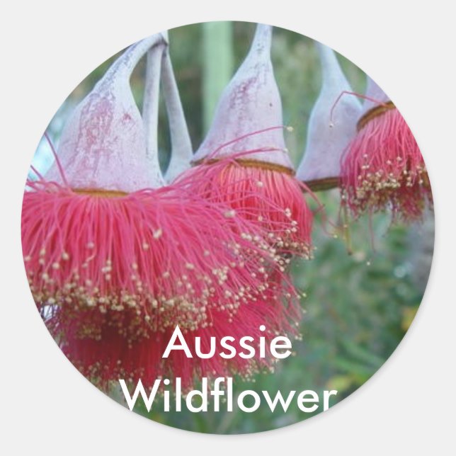 Pegatina Redonda Flor de goma roja (Anverso)