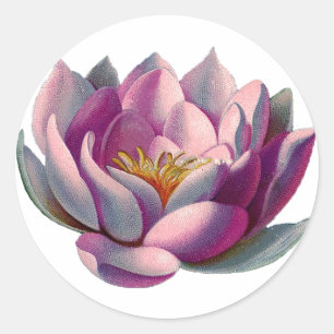 Pegatina Redonda Flor de Lotus