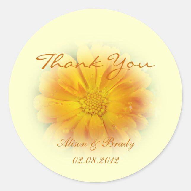 Pegatina Redonda flor de margarita amarillo bonito (Anverso)
