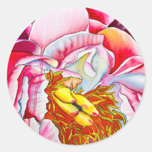 Pegatina Redonda Flor de peonía rosa acuática