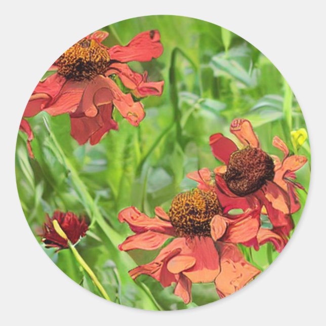PEGATINA REDONDA FLOR DE RUDBECKIA ROJA (Anverso)