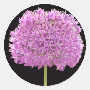 Pegatina Redonda Flor de Verano Primavera Illium -Diseño Irlandés