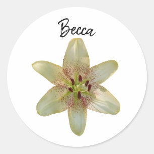 Pegatina Redonda Flor Lirio Amarilla Específica Personalizada