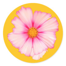 Flor rosa
