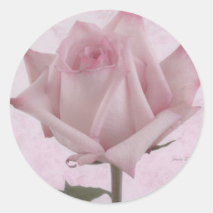 Pegatina Redonda Flor rosa suave