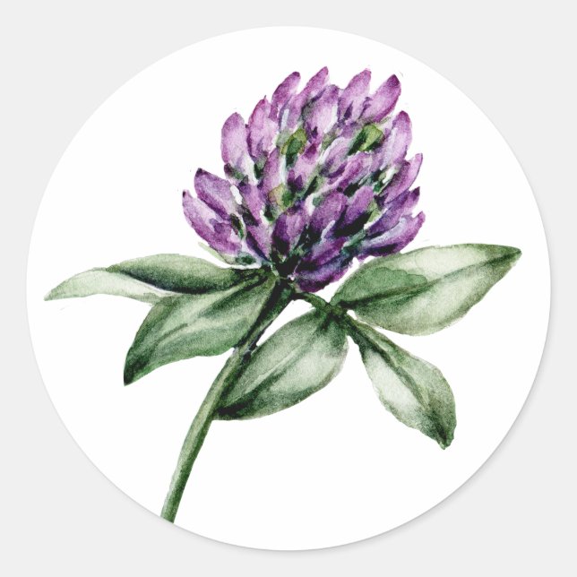 Pegatina Redonda Flor silvestre Clover Purple Bud (Anverso)