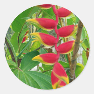 Pegatina Redonda Flor tropical
